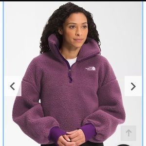 the north face women's platte sherpa 1 4 zip jacket